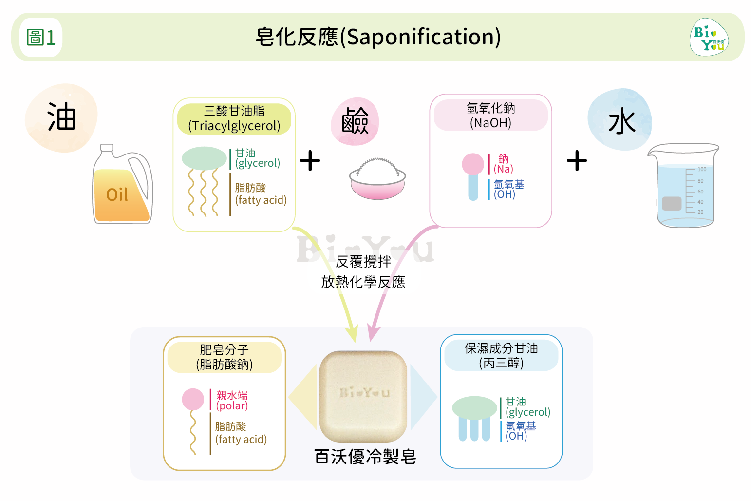 皂的潔淨科學 百沃優bioyou 健康知識館