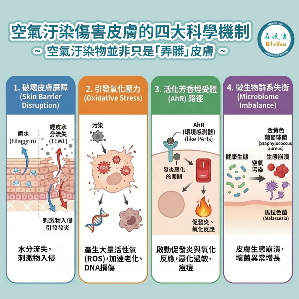 空氣污染傷害皮膚的四大科學機制