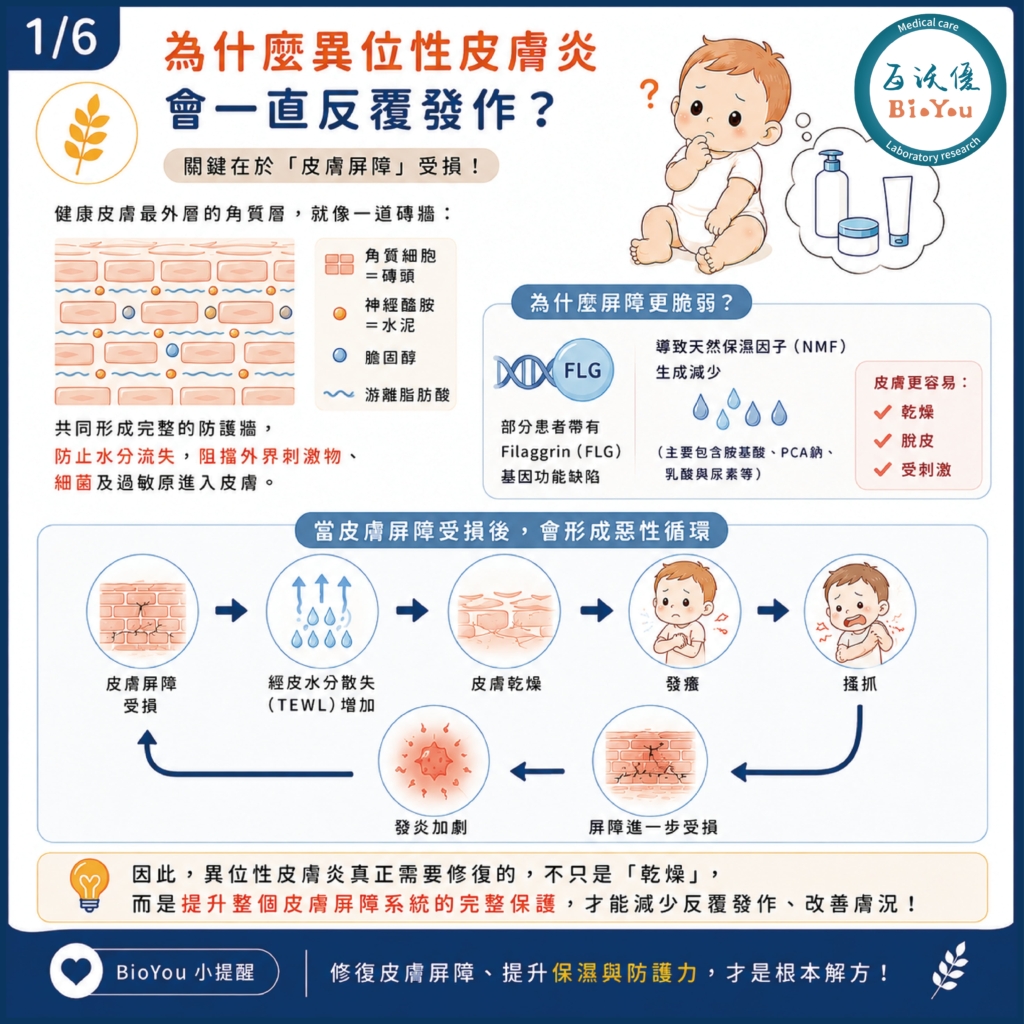 異位性皮膚炎的反覆症狀